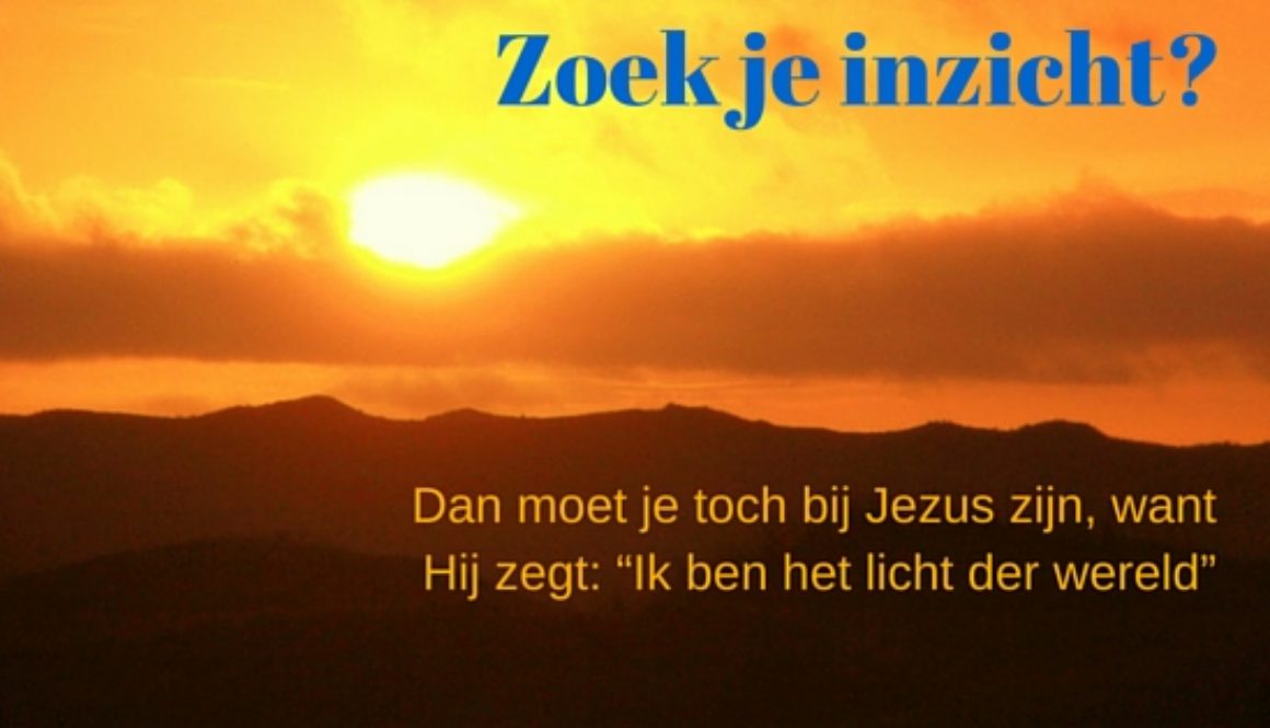 Zoek je inzicht