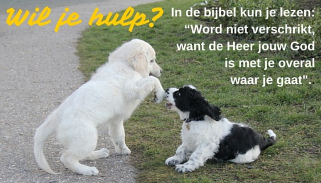 Wil je hulp-