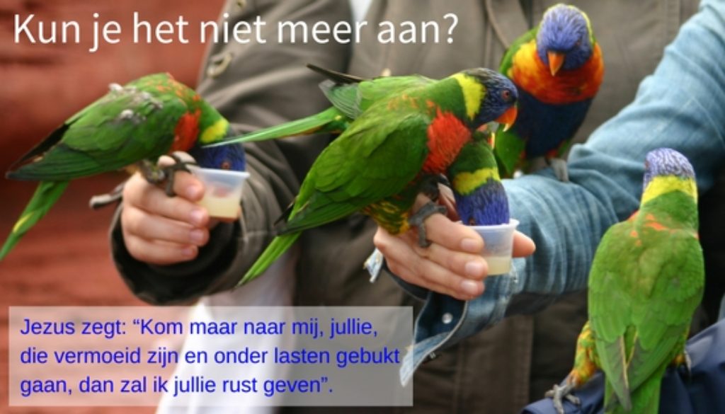 kun-je-het-niet-meer-aan