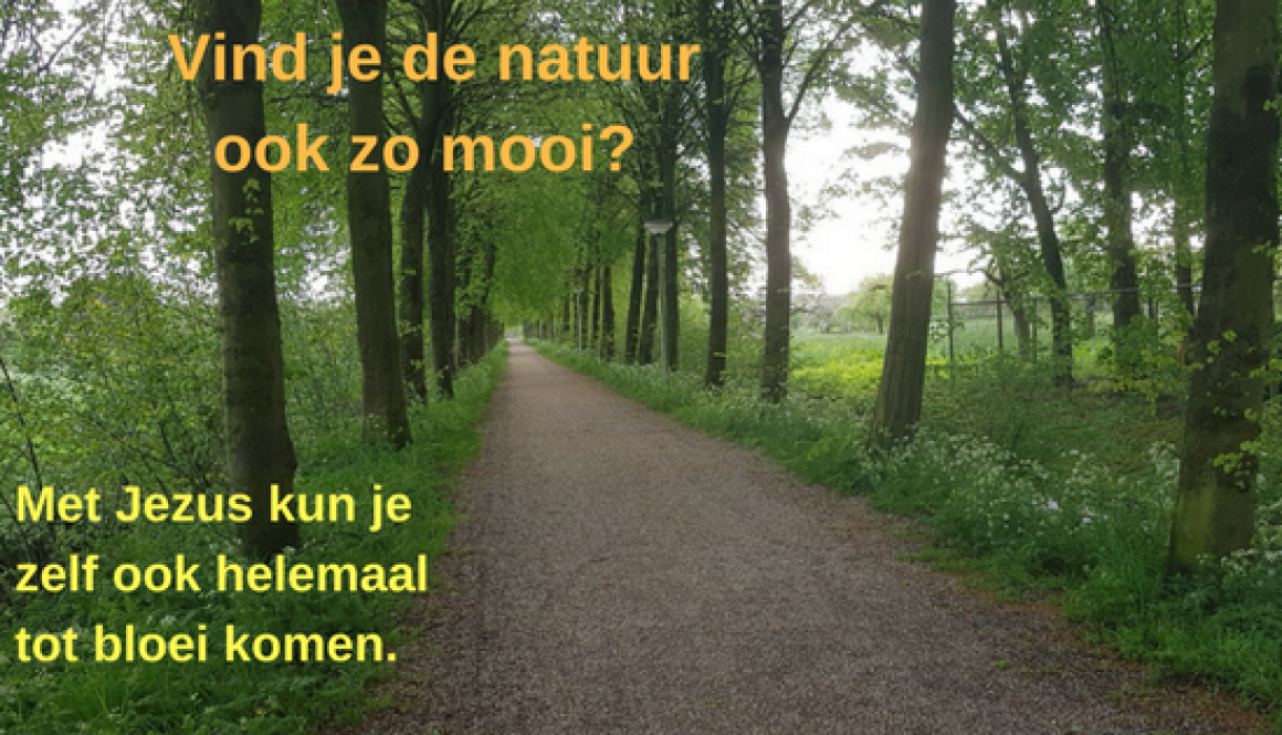 Vind je de natuur ook zo mooi_