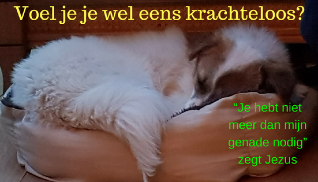 Voel je je wel eens krachteloos_