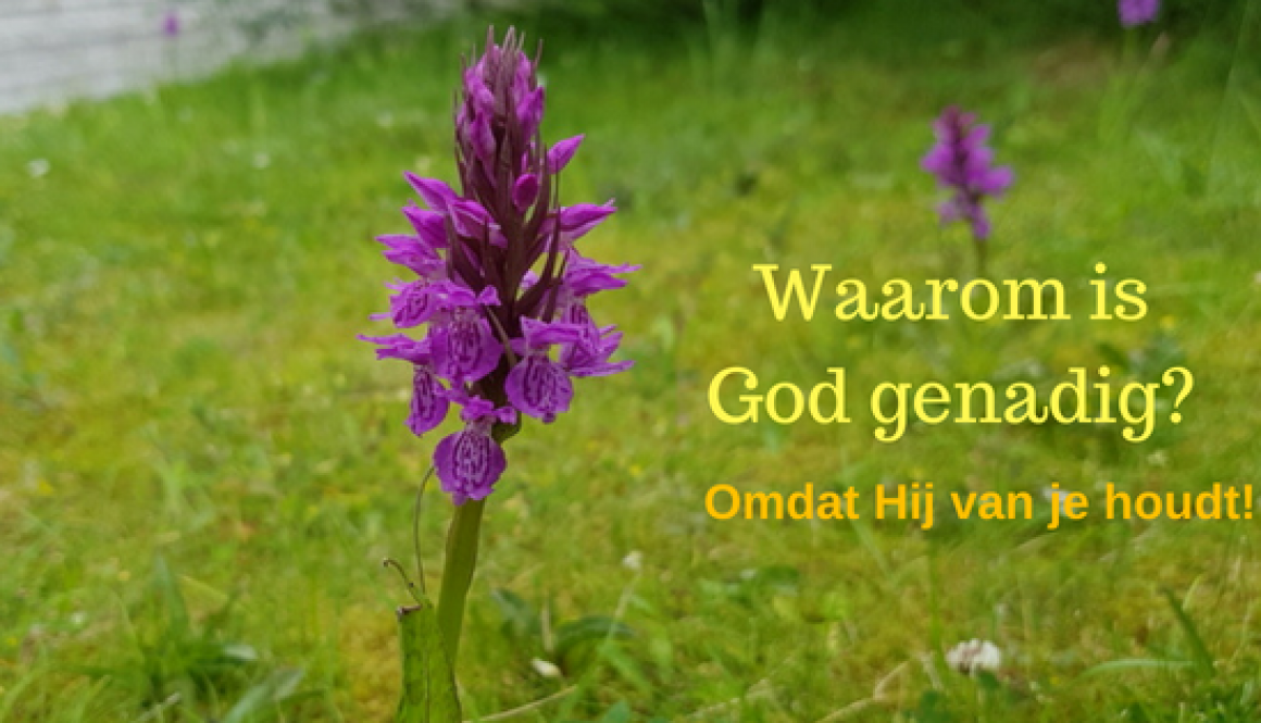 Waarom is God genadig_