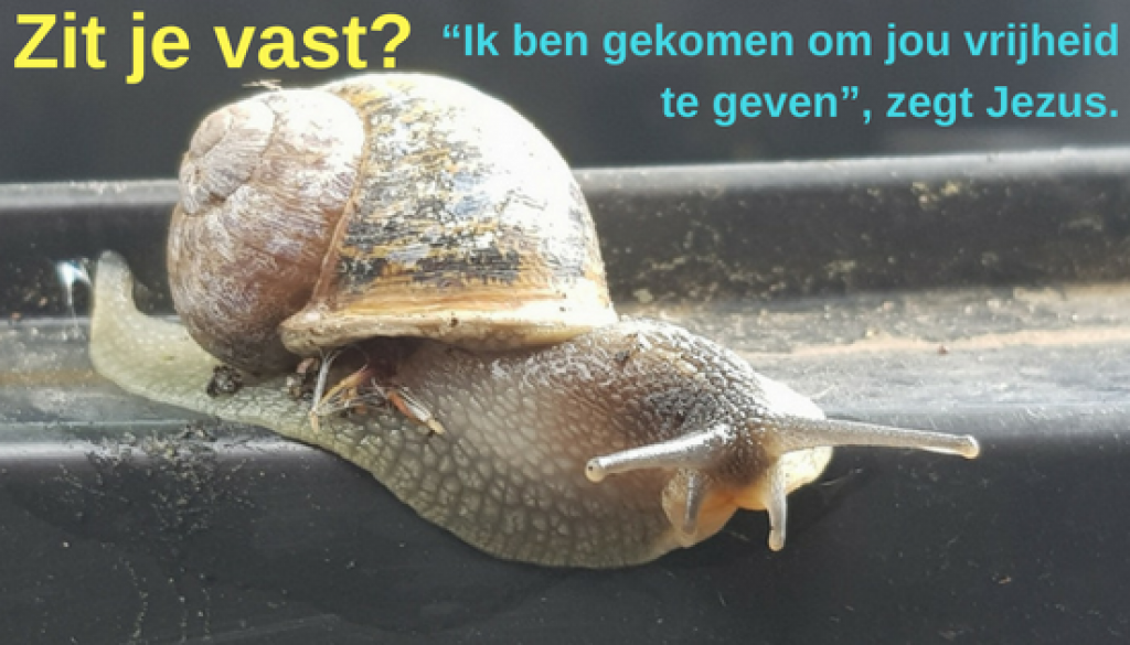 Zit je vast_