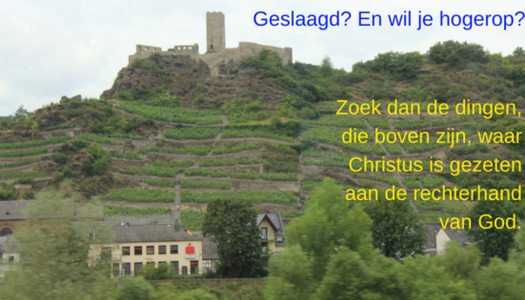 Geslaagd_ En wil je hogerop_