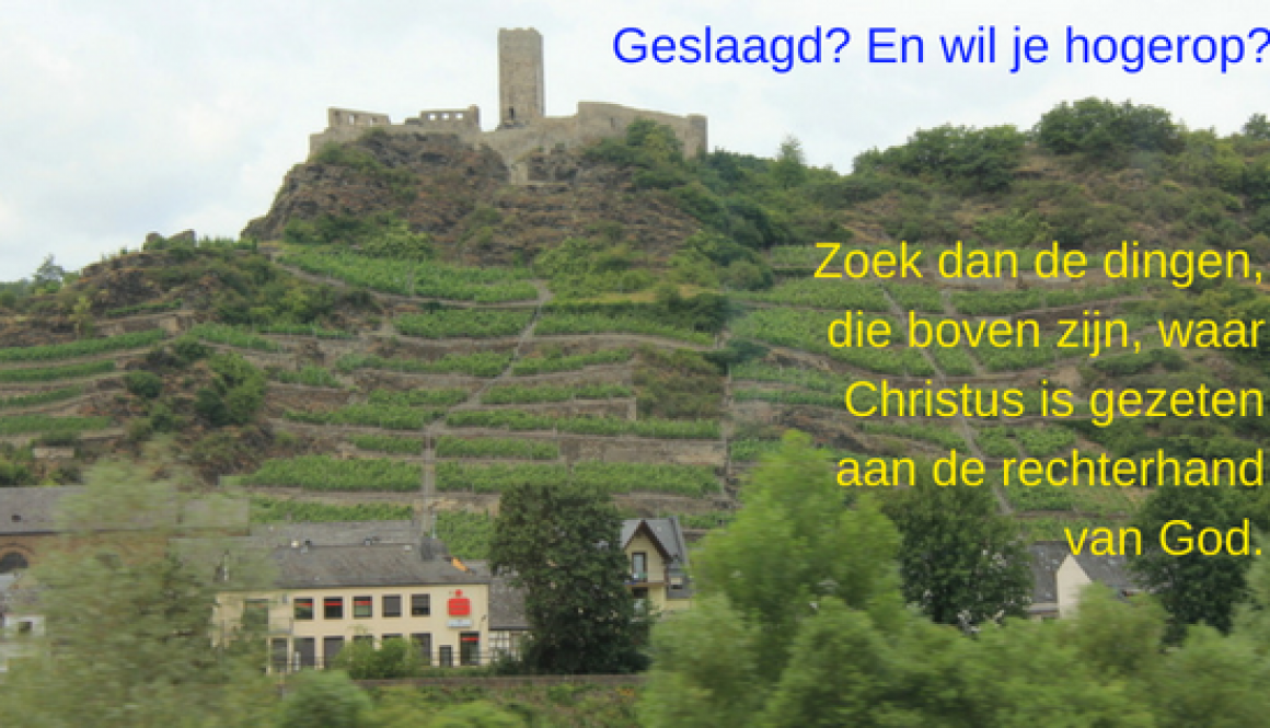 Geslaagd_ En wil je hogerop_