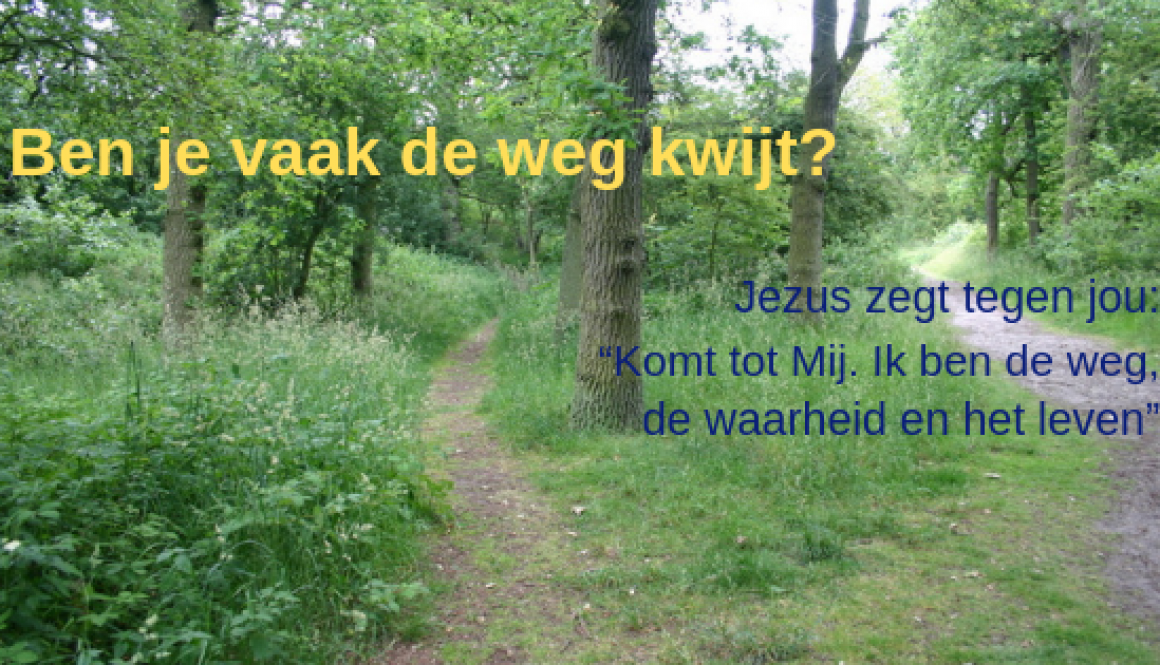 Ben je vaak de weg kwijt_