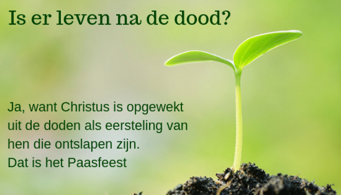 Wil je echt leven_ Wil je echt leven_