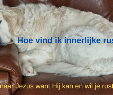 Hoe vind ik innerlijke rust